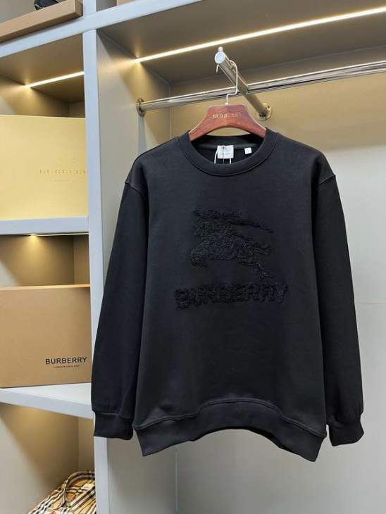 Picture of Burberry Sweatshirt _SKUBurberryS-2XLaztx874630998